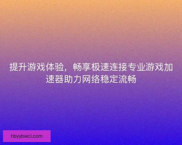 提升游戏体验，畅享极速连接专业游戏加速器助力网络稳定流畅